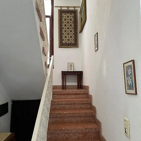Monkey Villa