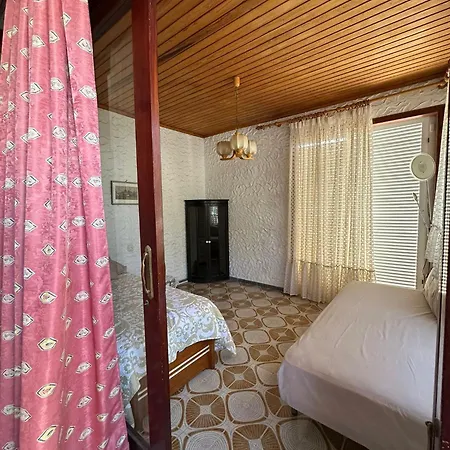 Villa Monkey *